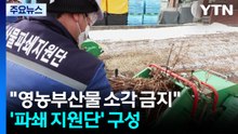[녹색] "영농부산물 태우지 마세요"...'파쇄 지원단'이 뜬다 / YTN