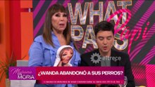 Escándalo con Wanda Nara: sus vecinos aseguran que abandonó a dos perros y las imágenes generaron repudio