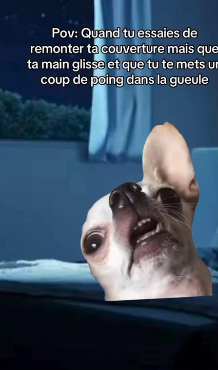 Mdr