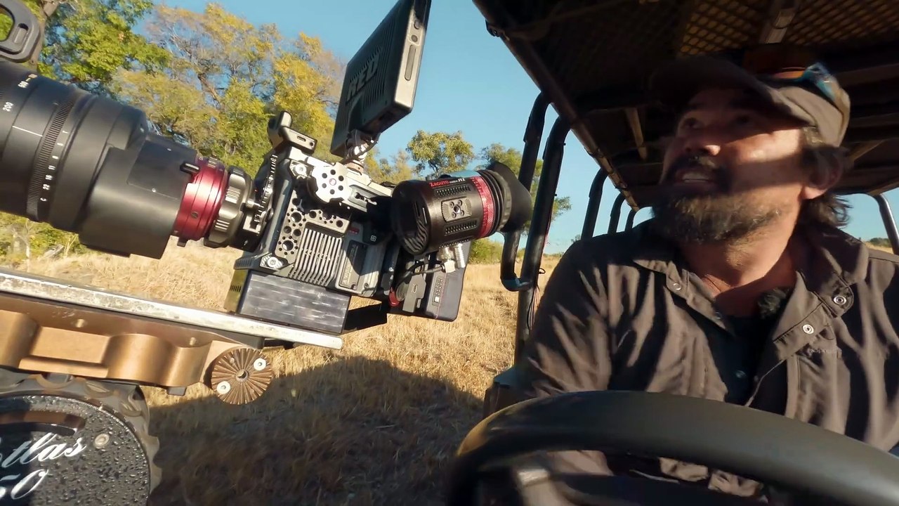 Big Cats 24/7 S2E5 | New Beginnings for Lions, Leopards & Cheetahs in the Okavango