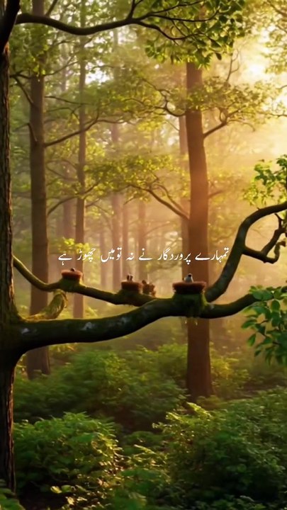 Beshak