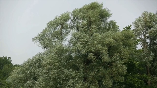 Strong wind warnings issued as gusty conditions raise travel disruption risk
