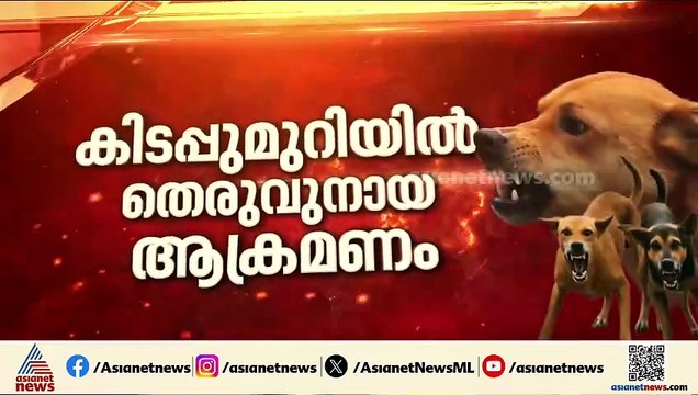 കിടപ്പുരോഗിയായ വയോധികയെ തെരുവുനായ കടിച്ചു കൊന്നു; ദാരുണ സംഭവം തൃശ്ശൂർ എരുമപെട്ടിയിൽ