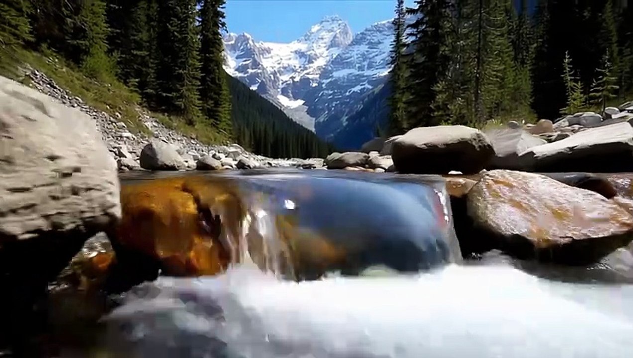 Whole House Water Filter System Explained | Tap Water Contaminants & Home Water Treatment