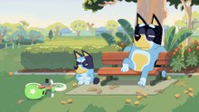 Bluey Episode 11 Complet | Bike | Bluey Season 1