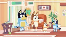 Bluey Episode 19 Complet | The Claw | Bluey Season 1