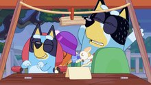 Bluey Episode 25 Complet | Taxi | Bluey Season 1