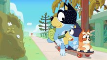 Bluey Episode 26 Complet | The Beach | Bluey Season 1