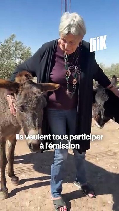 Au Maroc, elle sauve les ânes et mulets blessés