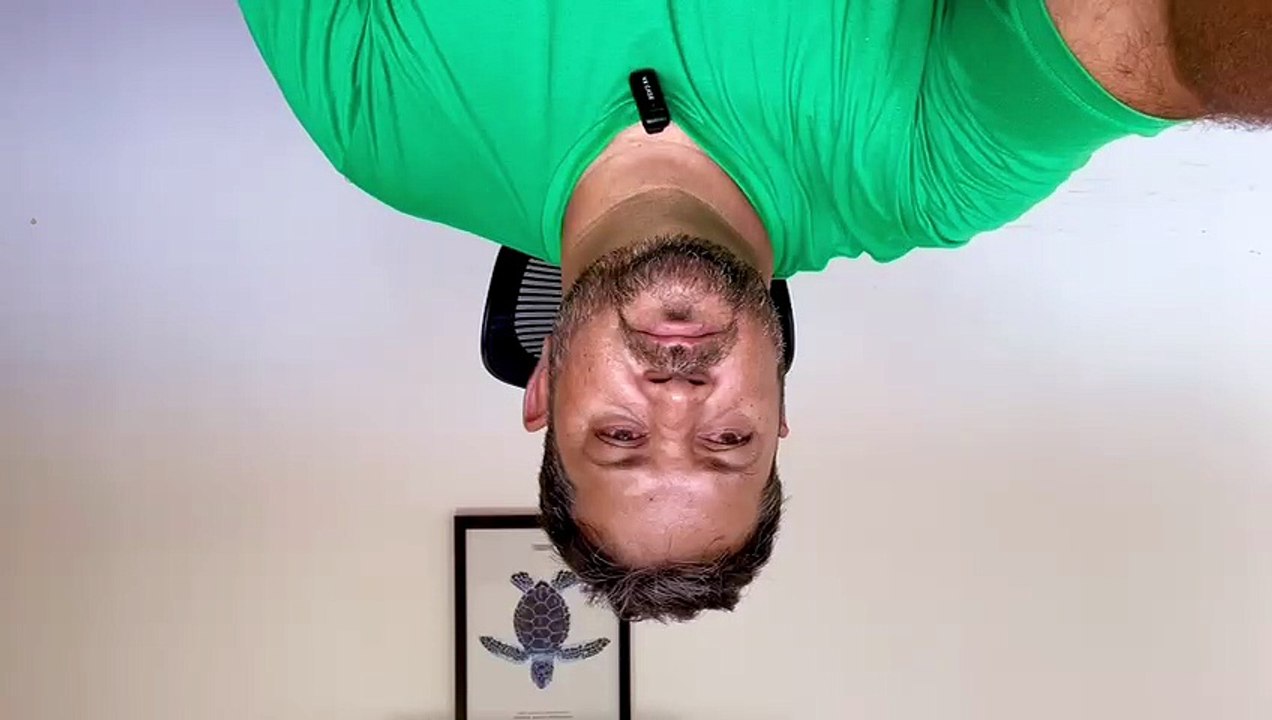 Diretor do Biota fala sobre elefante-marinho visto no litoral de Alagoas