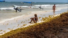 La Riviera Maya se ahoga en sargazo antes de lo esperado