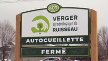 Agrotourisme : vers un assouplissement des règles