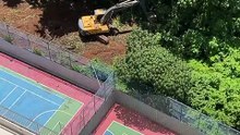 Presença de máquina escavadeira em grande área verde de Salvador assusta moradores