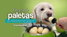 Paleta helada para perro ¡Con 2 ingredientes!