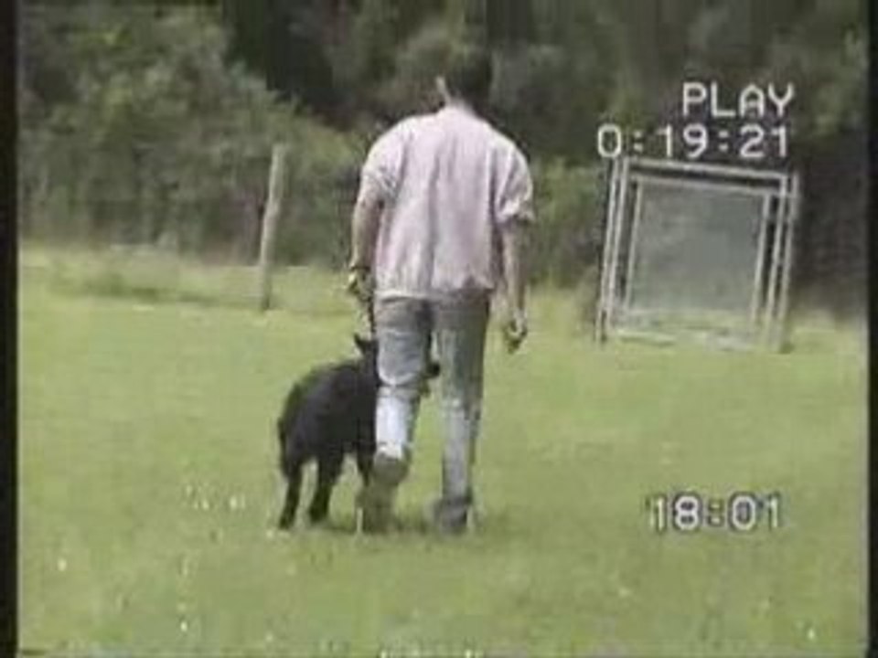 CSAU + Brevet obé callie le 25 mai 2008