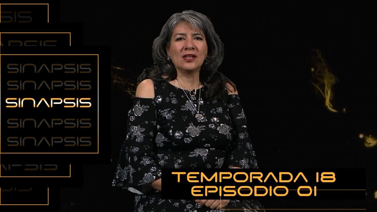 T18 Ep.1 - Sinapsis | Los cuatro principales movimientos migratorios en México
