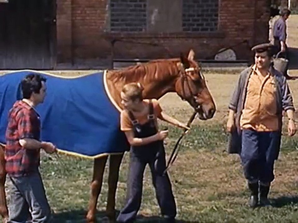 Jockei Monika - 07 - (DDR 1981)