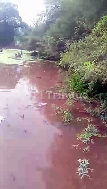 El desborde del río Bermejo llegó al pueblo de Rivadavia Banda Sur y dejó parajes aislados