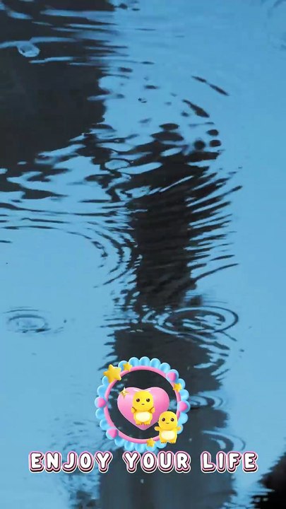 Do It Right - Musique AMIS