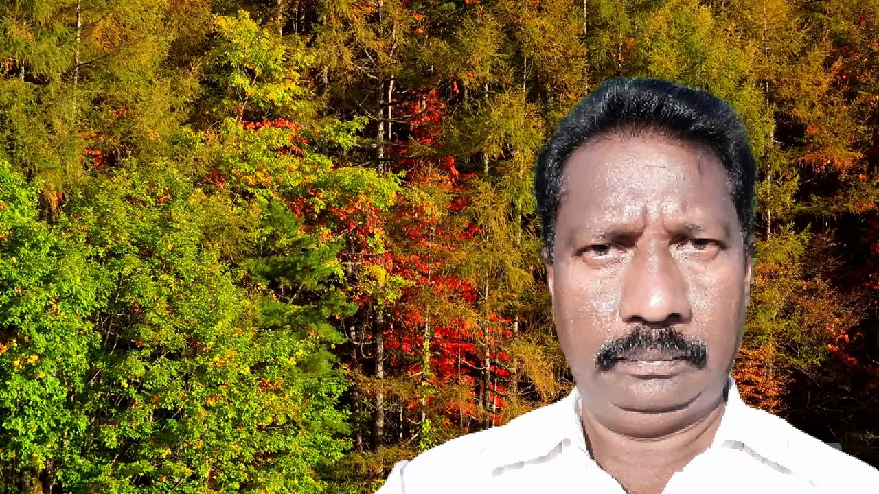 Yendunnavo Ochali
