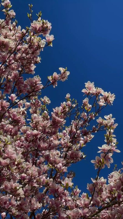 où sortir en famille ?