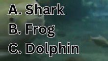 Can you pass this 3-level IQ Test? 🧠#shorts #QuizTime #GeneralKnowledge #TriviaChallenge #D#shorts #english #mindbendingquiz #quiz #generalknowledge #iqtest #mindbendingquiz #quiz #iqtest #iqtest #testandlearn #shorts #shortvideo #shortsfeed #shortsvideo