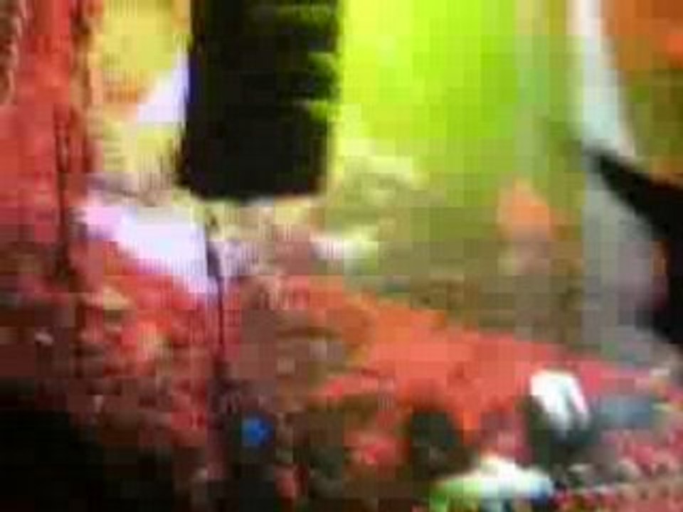 DSCN0648