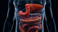 Human Digestive System 3D Animation | Inside the Human Body