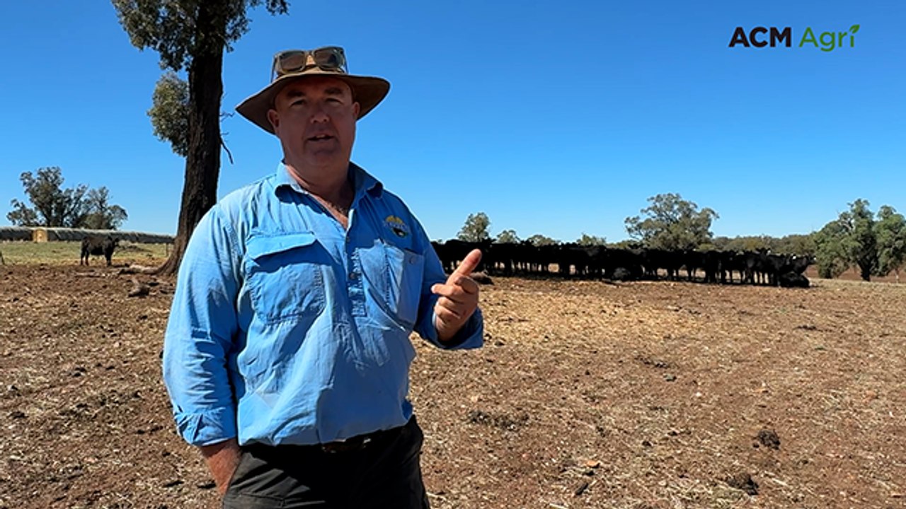 Why early yard weaning is the ultimate tool for the Rice family