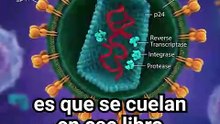 Tijeras Moleculares: ¿El fin del VIH?