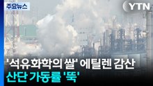 호르무즈 봉쇄에 에틸렌 생산 차질...석유화학도 위기 고조 / YTN