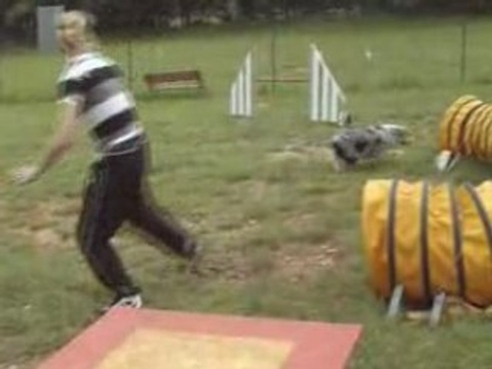 Swanny 1 agil