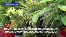 Dokter Tifa Buka Suara usai Rismon Maaf ke Jokowi dan Gibran