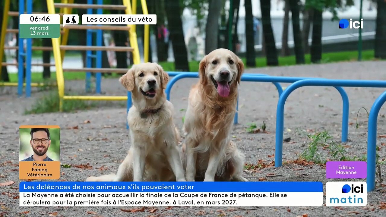 13/03/2026 - ici matin par ici Mayenne en vidéo