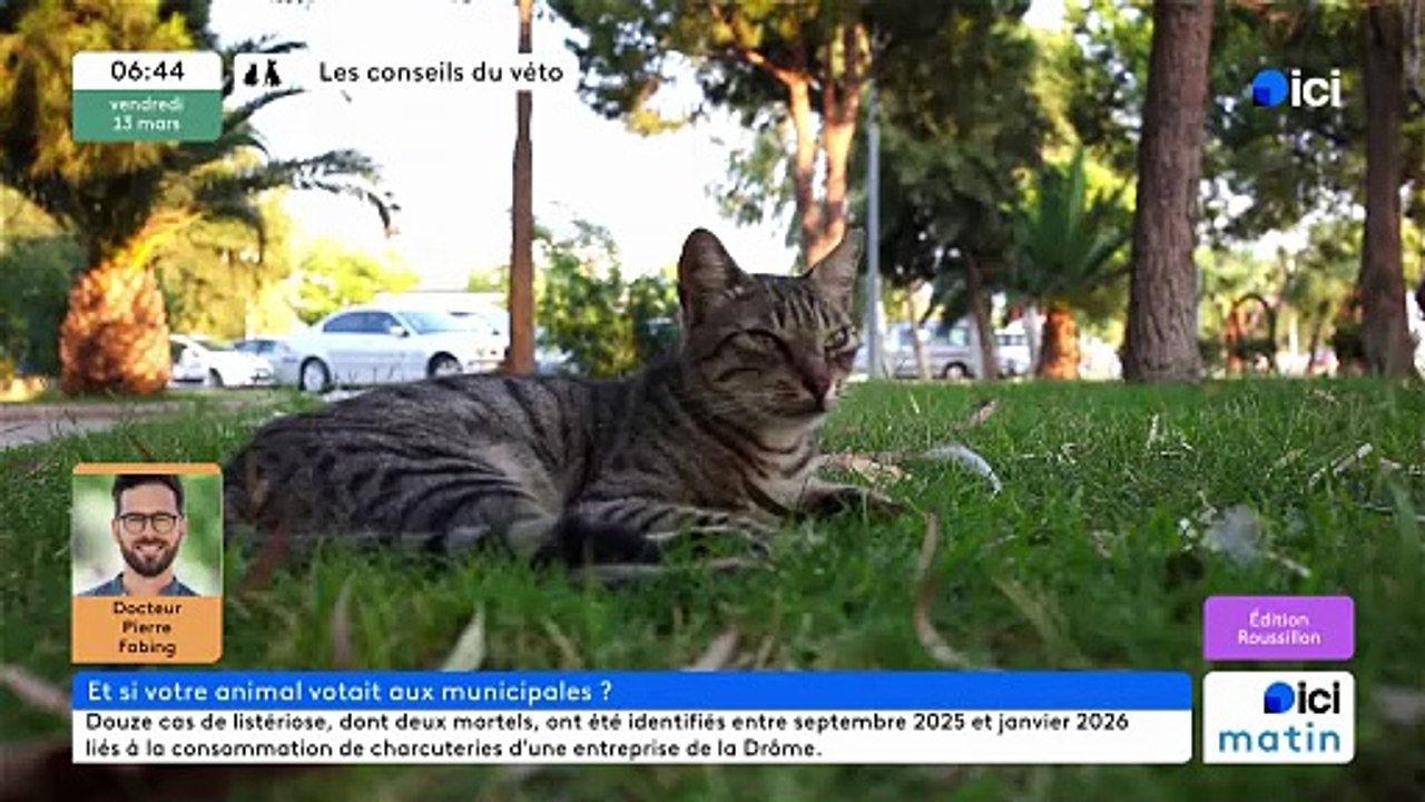 13/03/2026 - ici matin par ici Roussillon en vidéo