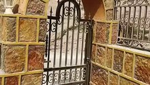 video 521