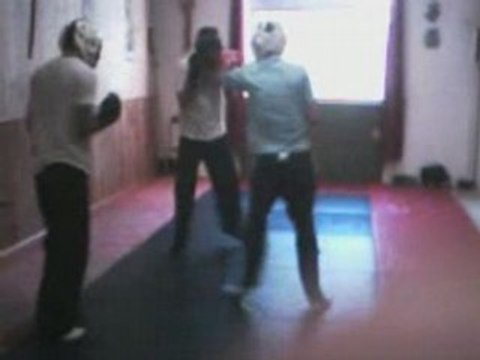 Presentation du Temple des arts martiaux seynois