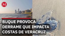 Derrame de crudo afecta a Veracruz, fue ocasionado por buque en costa de Tabasco: Rocío Nahle