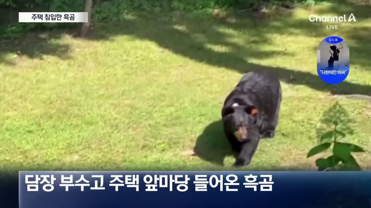 공중 날아올라 건물 돌진…80대 운전자 후송