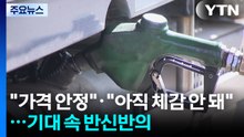 "가격 안정"·"아직 체감 안 돼"...기대 속 반신반의 / YTN
