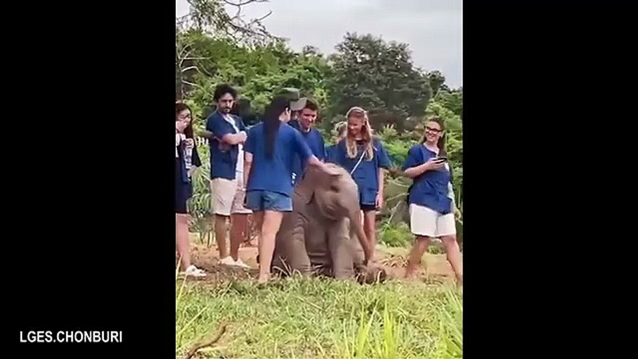 Funny Videos Part 46
