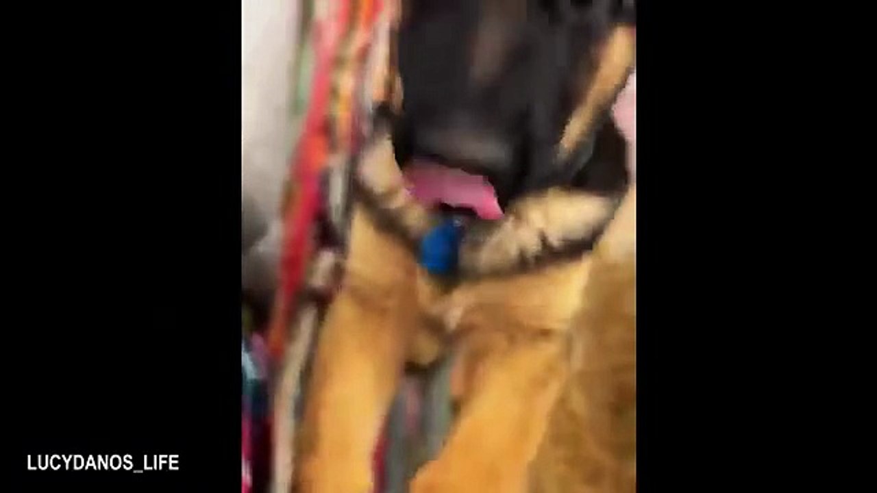 Funny Videos Part 48