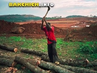 La Banque Européenne finance-t-elle le pillage du Congo ?