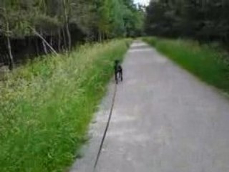 Valye chasse
