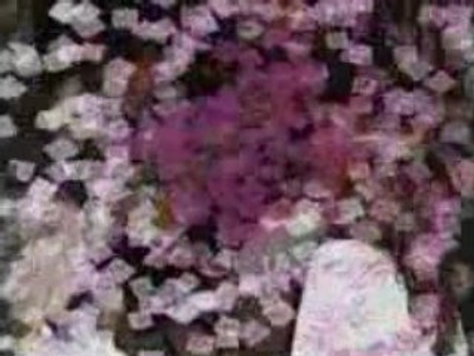 T'es un grand, Corps Malade - Clip slam