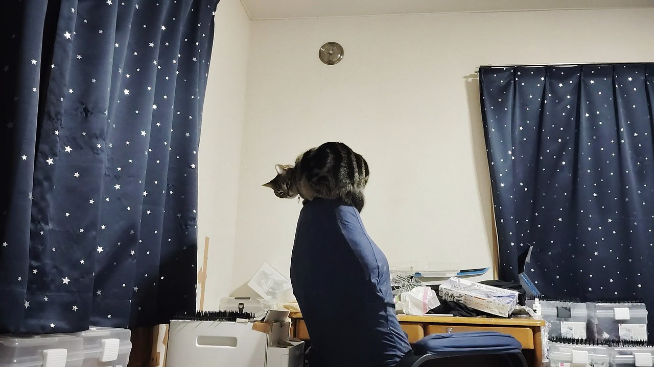 ゲーミングチェアの上に立つミア6