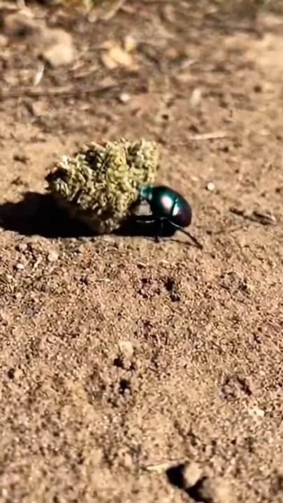 La nature valide la qualité 😂