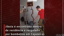 Jiboia é encontrada dentro de residência e resgatada por bombeiros em Cajazeiras