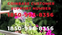 {{s}}™ Full {{List}} of Coinbase™®️ toll free Numbers in the U.S.A: A Comprehensive Full Guide