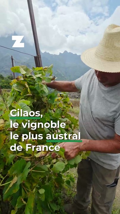 Cilaos, le vignoble le plus austral de France